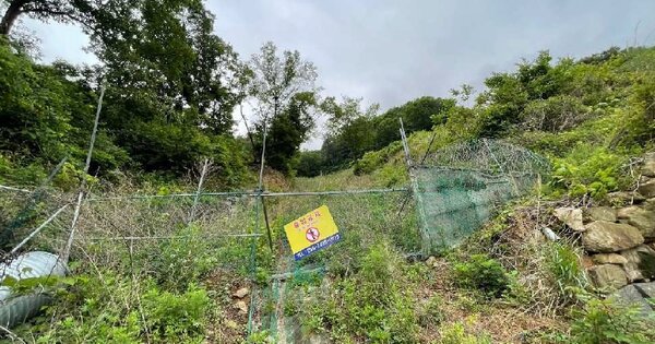 경상남도 김해시 상동면 매리 OOOOOO 임야 경매 물건 이미지