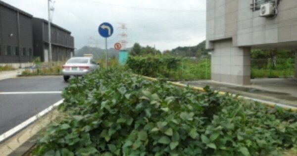 충청남도 당진시 정미면 덕마리 OOOOOO O OOO 창고시설 경매 물건 이미지