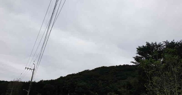 울산광역시 울주군 범서읍 굴화리 OOOOO 임야 경매 물건 이미지
