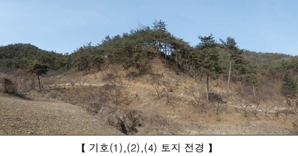 충청남도 청양군 정산면 송학리 OOOOO O OOO 임야 경매 물건 이미지