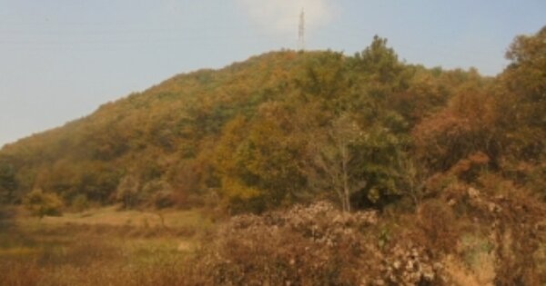 충청북도 음성군 음성읍 삼생리 OOOO 임야 경매 물건 이미지