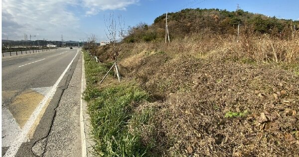충청남도 서산시 성연면 명천리 OOOOOO 도로 경매 물건 이미지