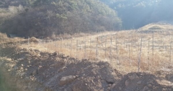 경상북도 안동시 예안면 삼계리 OOOO O OOO 전 경매 물건 이미지