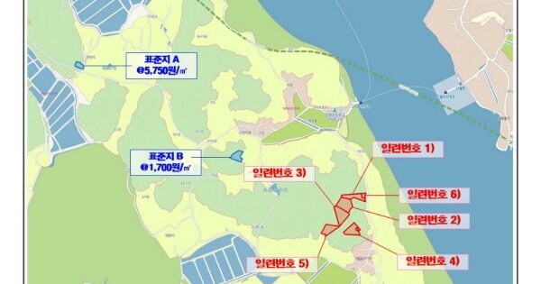 전라남도 신안군 압해읍 고이리 OOOOOO O OOO 임야 경매 물건 이미지