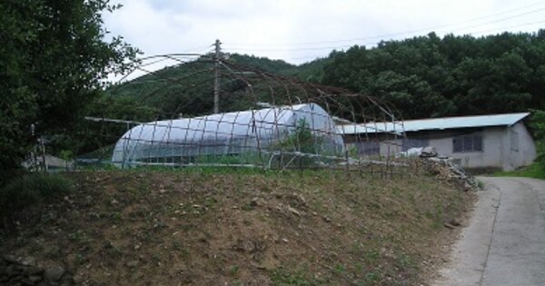 충청남도 청양군 정산면 학암리 OOOOO 전 경매 물건 이미지