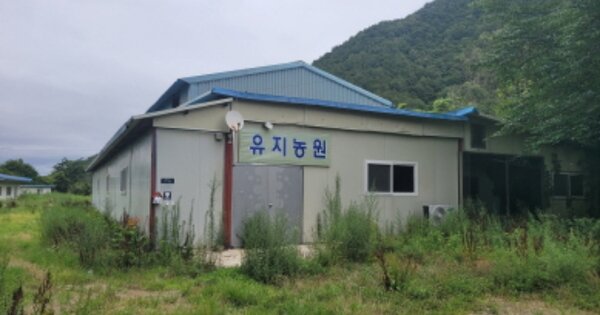 경상북도 울진군 온정면 조금리 OOO 동물 및 식물 관련시설 경매 물건 이미지