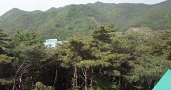 경상남도 밀양시 삼랑진읍 용전리 OOOO 임야 경매 물건 이미지