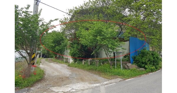 경기 양평군 지평면 일신리 OOOO O OOO 동물 및 식물 관련시설 경매 물건 이미지