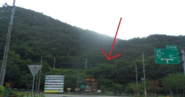 강원도 정선군 신동읍 예미리 OOOOO 전 경매 물건 이미지
