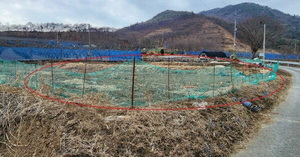 충청남도 부여군 내산면 운치리 OOO 전 경매 물건 이미지