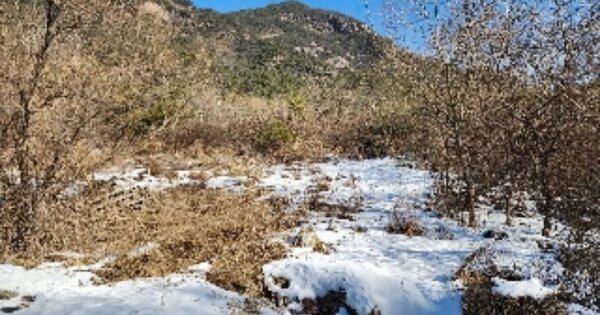 충청북도 제천시 수산면 하천리 OOO 전 경매 물건 이미지