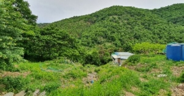 경상남도 함안군 칠북면 가연리 OOO 임야 경매 물건 이미지