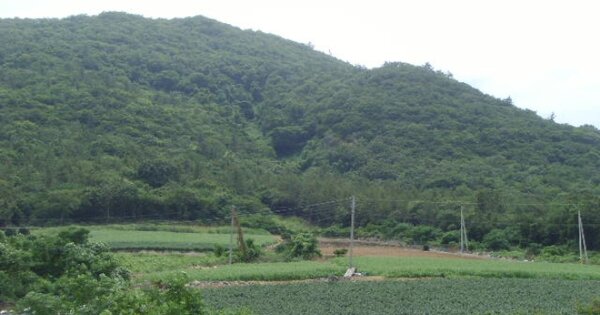 전라남도 해남군 화원면 마산리 OOO 임야 경매 물건 이미지