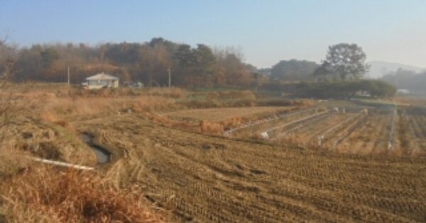 충청남도 부여군 규암면 오수리 OOOOO 답 경매 물건 이미지
