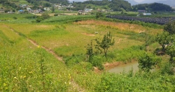 충청북도 충주시 주덕읍 삼청리 OOO O OOO 전 경매 물건 이미지