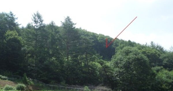 강원도 횡성군 강림면 강림리 OOO 전 경매 물건 이미지
