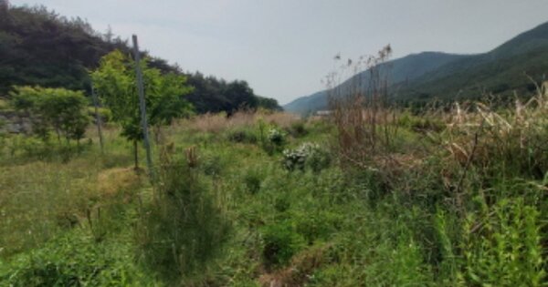 경상남도 고성군 고성읍 이당리 OOO O OOO 답 경매 물건 이미지