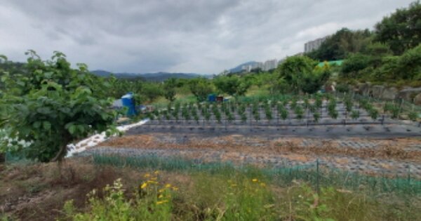 경상남도 고성군 고성읍 서외리 OOOOO 답 경매 물건 이미지