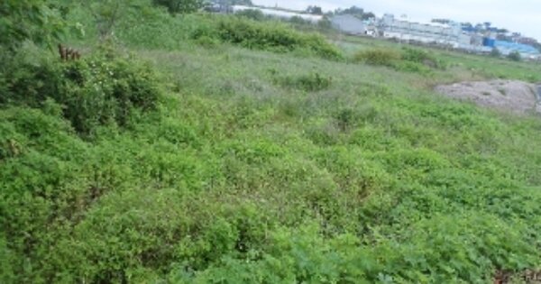 전라북도 김제시 하동 OOOO 답 경매 물건 이미지