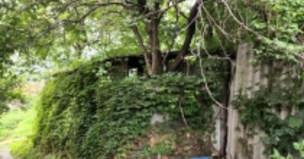 전라남도 여수시 율촌면 월산리 OOO 대지 경매 물건 이미지