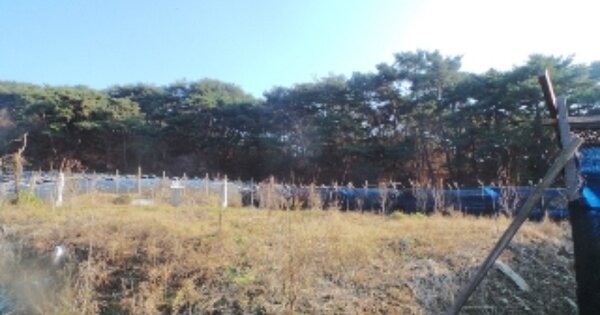 강원도 춘천시 동면 월곡리 OO 전 경매 물건 이미지