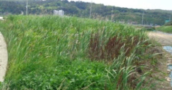 경상남도 하동군 금성면 궁항리 OOO 답 경매 물건 이미지