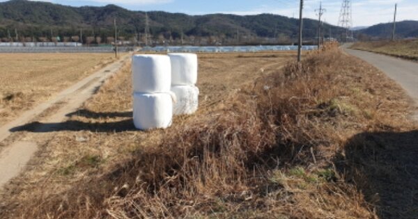 경상북도 경주시 천북면 모아리 OOOOO O OOO 답 경매 물건 이미지