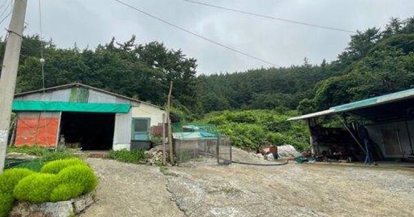 충청남도 태안군 원북면 신두리 OOOOOO O OOO 전 경매 물건 이미지