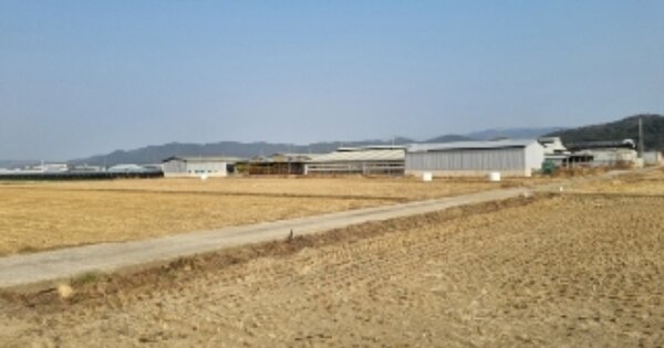 경상북도 경주시 시동 OOO 답 경매 물건 이미지