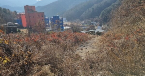 경기도 가평군 청평면 호명리 OOOOO 임야 경매 물건 이미지