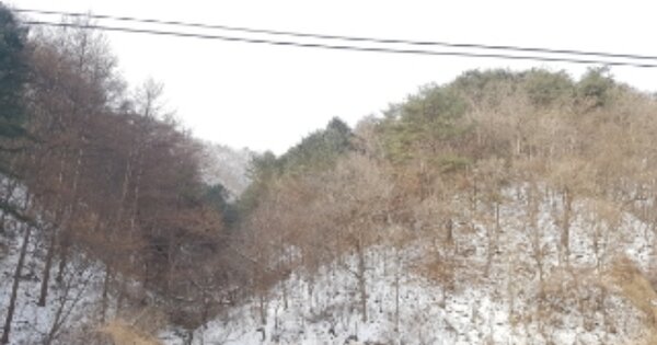 강원도 화천군 하남면 원천리 OOO 임야 경매 물건 이미지