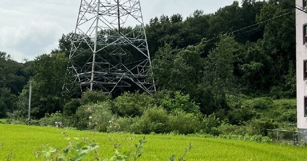충청남도 당진시 송악읍 반촌리 OOOOO 전 경매 물건 이미지