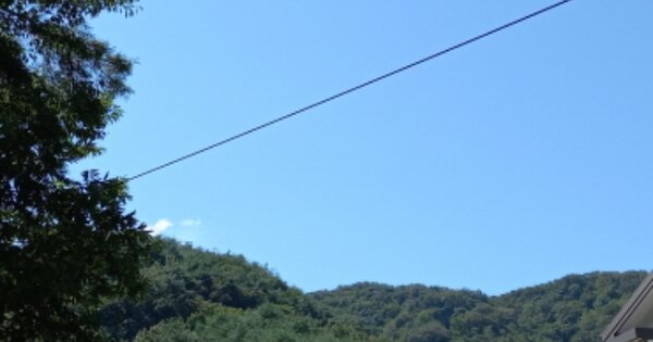 경상남도 사천시 곤명면 본촌리 OOOO 임야 경매 물건 이미지