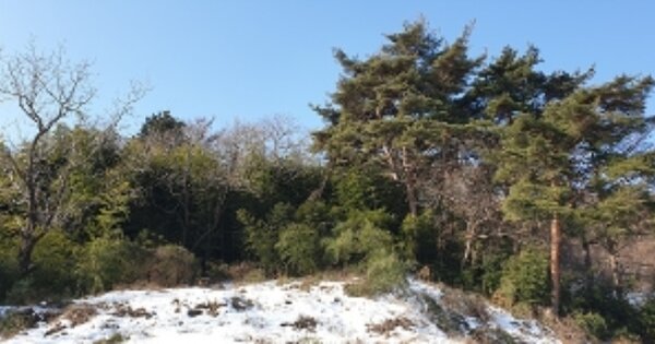 충청남도 예산군 덕산면 광천리 OOOOO 임야 경매 물건 이미지