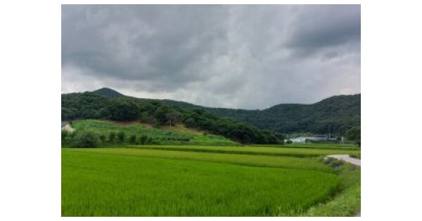 충청북도 괴산군 청천면 후영리 OOOOO 임야 경매 물건 이미지