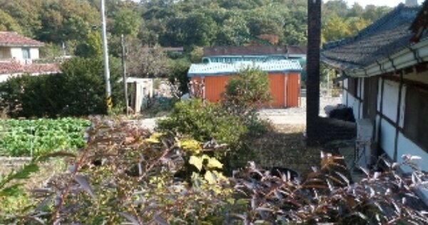 충청남도 당진시 채운동 OOOO 전 경매 물건 이미지