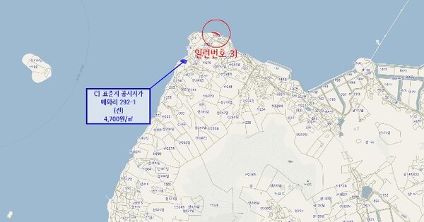 전라남도 신안군 압해읍 매화리 OOO 전 경매 물건 이미지
