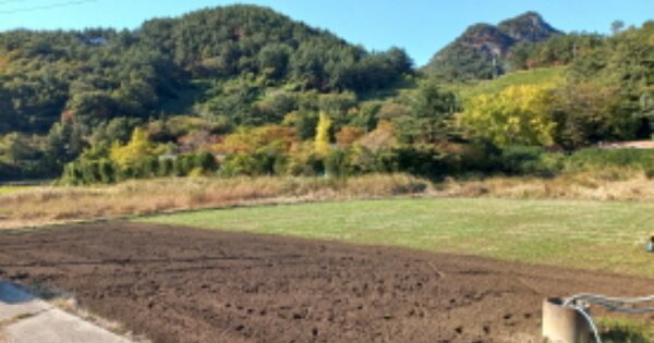 경상남도 남해군 남면 선구리 OOOOOO O OOO 답 경매 물건 이미지