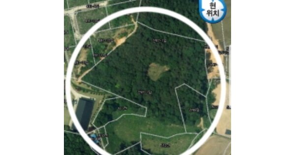 경기도 화성시 장안면 어은리 OOOOO 임야 경매 물건 이미지