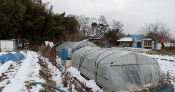 충청남도 당진시 송악읍 전대리 OOO 대지 경매 물건 이미지