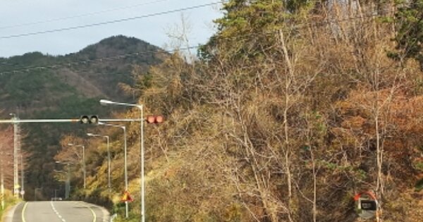 경상남도 거제시 장목면 외포리 OOOOOO 임야 경매 물건 이미지