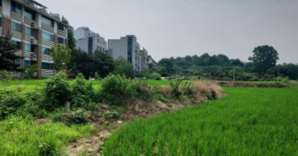 경기도 화성시 기안동 OOOOOO 답 경매 물건 이미지