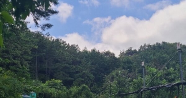 전라남도 장성군 서삼면 모암리 OOO 임야 경매 물건 이미지