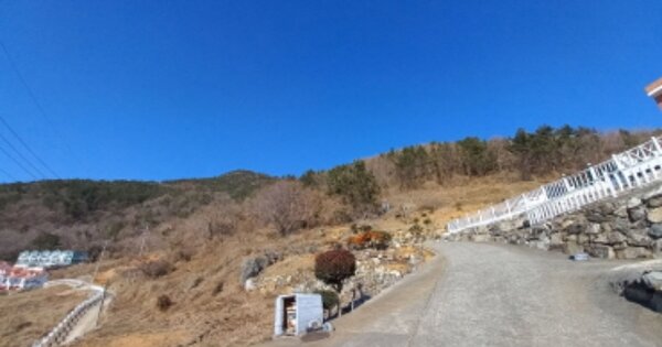 경상남도 남해군 남면 홍현리 OOOO 임야 경매 물건 이미지