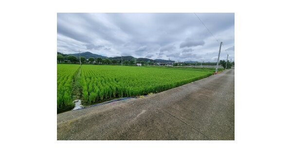 충청북도 진천군 진천읍 벽암리 OOO 답 경매 물건 이미지