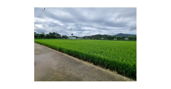 충청북도 진천군 진천읍 벽암리 OOO 답 경매 물건 이미지
