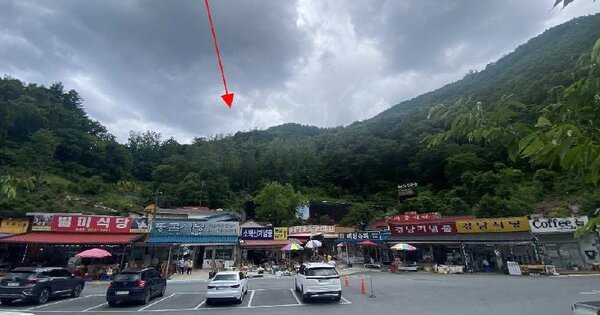 충청북도 단양군 단양읍 고수리 OO 임야 경매 물건 이미지