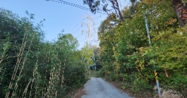 울산광역시 울주군 서생면 명산리 OOOOO 임야 경매 물건 이미지