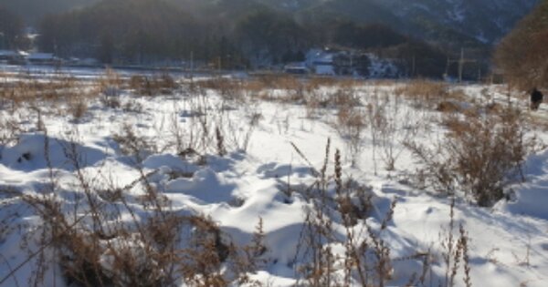 충청북도 단양군 단성면 벌천리 OOO O OOO 전 경매 물건 이미지