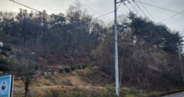 울산광역시 울주군 삼남읍 가천리 OOOOOO O OOO 임야 경매 물건 이미지